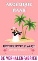 Het perfecte plaatje - Angelique Haak - ebook