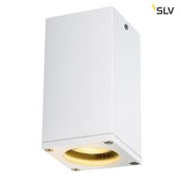 Plafondlamp buiten THEO GU10 Wit