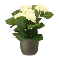 Hortensia kunstplant/kunstbloemen 36 cm - wit - in pot olijfgroen mat