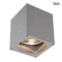 Plafondlamp buiten BIG THEO GU10 Zilvergrijs