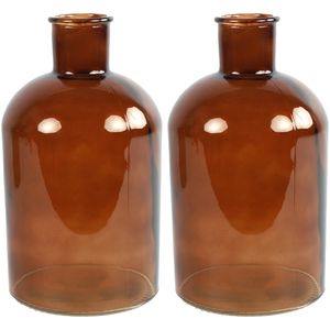 2x stuks Countryfield Vaas - bruin - glas - apotheker fles vorm - D14 x H27 cm