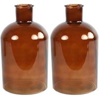 2x stuks Countryfield Vaas - bruin - glas - apotheker fles vorm - D14 x H27 cm