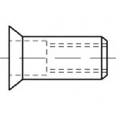 TOOLCRAFT TO-5444358 Popmoer M5 Staal 500 stuk(s)