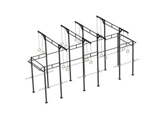 PTessentials Heavy Duty Crossfit Rig V19