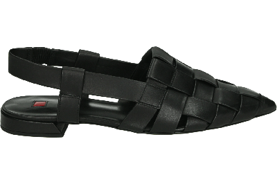 Hogl 101930 MILLA - alle Hogl 101930 MILLA - alle