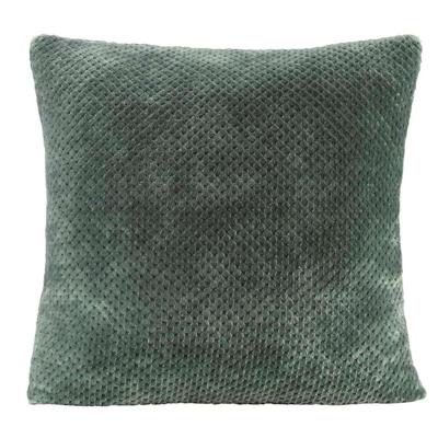 2e Halve Prijs Leen Bakker - Woonkussen Ilona - 60x60 Cm - Polyester - Groen