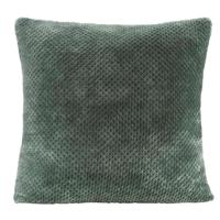 2e Halve Prijs Leen Bakker - Woonkussen Ilona - 60x60 Cm - Polyester - Groen