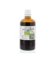 Vitex agnus castus fruct tinctuur bio