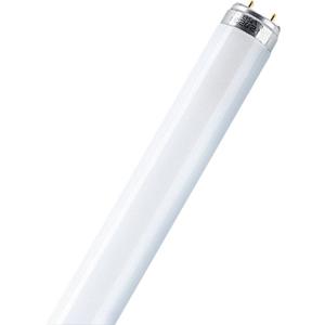 OSRAM TL-lamp Energielabel: G (A - G) G13 36 W Buis 1 stuk(s)