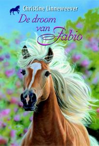 De droom van Fabio (Hardback)