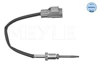 Sensor, uitlaatgastemperatuur 7148000037