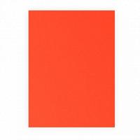 Etalagekarton 48x68 cm fluor rood 380gr
