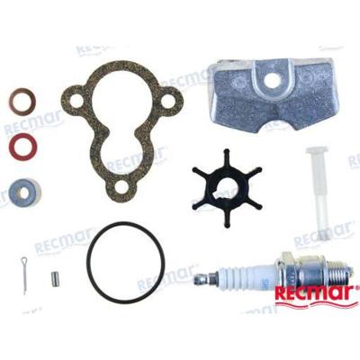 REPUESTOS MOTORES RECKITF2.5A - KIT MANTENIMIENTO YAMAHA