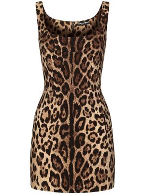 Dolce & Gabbana robe sans manches à imprimé léopard - Marron