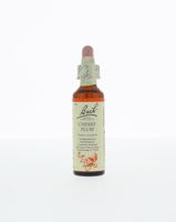 Bach Cherry plum/kerspruim Bach Cherry plum/kerspruim