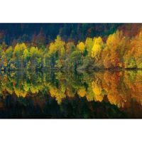 Fotobehang - Autumn Forest Lake 384x260cm - Vliesbehang - thumbnail