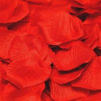 Rode rozenblaadjes 144 stuks - Rozenblaadjes / strooihartjes - thumbnail
