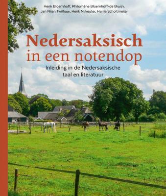 Nedersaksisch in een notendop (Paperback)