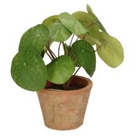 Kantoor kunstplant pilea Pannekoekplant groen in pot 25 cm - thumbnail