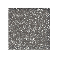 Terre d&apos;Azur Terrazzo 1930 Black 20x20 cm