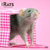 Ratten Kalender 2026