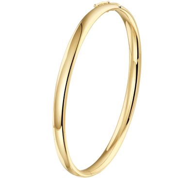 TFT Bangle Scharnier Ovale Buis 5 X 60 mm