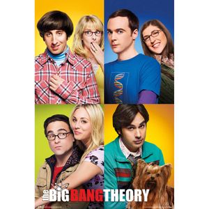 Poster The Big Bang Theory Mosaico 61x91,5cm