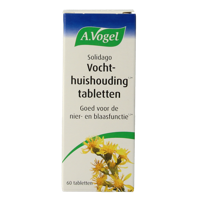 Solidago 60 Tabletten