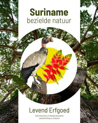 Surname, bezielde natuur (Paperback)