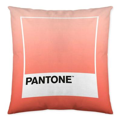 Kussenhoes Ombre B Pantone Localization-B086JQB7QD Omkeerbaar 50 x 50 cm