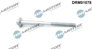 Schroef, inspuitstukhouder Dr.Motor Automotive, u.a. für VW, Seat, Skoda, Audi