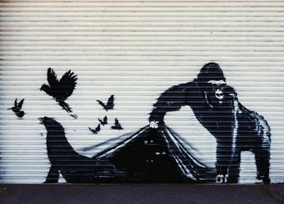 Kunstdruk Banksy - Gorilla London Zoo 70x50cm