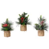 Decoratieve plant Everlands Kerstmis 20 x 15 cm (3 Stuks) Decoratieve plant Everlands Kerstmis 20 x 15 cm (3 Stuks)