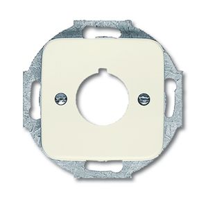 Busch-Jaeger 1724-0-0210 veiligheidsplaatje voor stopcontacten Zilver, Wit
