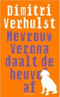 Mevrouw Verona daalt de heuvel af - Dimitri Verhulst - ebook