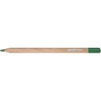 EDU3 Edugreen jumbo kleurpotloden, vulling 5 mm, groen, 10 stuk/ 1 doos