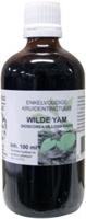 Natura Sanat Dioscorea villosa / wilde yam tinctuur