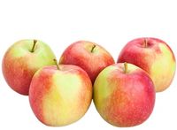 Appels Elstar - Online Boodschappen bij Butlon - Voor 12 uur besteld, morgen bezorgd - thumbnail