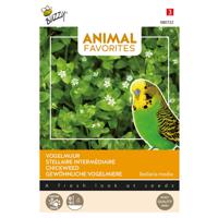Tuinplus - Animal favorites vogelgroenvoer - siervogels en kippen tuinzaden - thumbnail