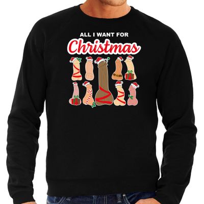 Foute kersttrui/sweater voor heren - All I want for Christmas - piemels - zwart Foute kersttrui/sweater voor heren - All I want for Christmas - piemels - zwart