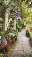 Flower Alley 70x130cm Tuinschilderij - Customize it