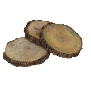 Boomschijven onderzetters voor glazen - 12x - hout - D10 cm - rond - gelakt