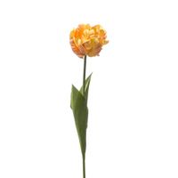 Tulip spray