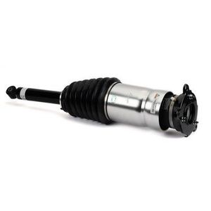 Pneumatische veerpoot AS3381