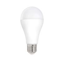 Power LED Lamp E27 - Mat - 18W vervangt 120W - Daglicht wit - 1900 lm