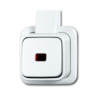 Wisselschakelaar met controlelamp opbouw wit 2601 6 SKAPJW BJ