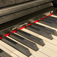 Amadeus D510 WD B digitale piano  202401020017-4278
