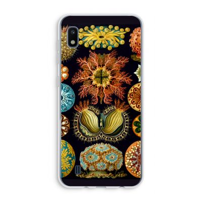 Haeckel Ascidiae: Samsung Galaxy A10 Transparant Hoesje