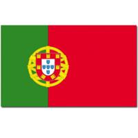Landen thema vlag Portugal 90 x 150 cm feestversiering