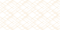 Geometrische lijnen minimalistisch patroon vinyl tapijt geometris
